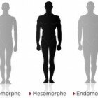 Comment grossir (1/6) : déterminer votre morphotype